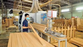 Mỹ điều tra chống lẩn tránh thuế với gỗ dán từ Việt Nam