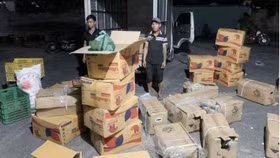 Phát hiện số lượng lớn thuốc bảo vệ thực vật chưa được phép lưu hành trong nước