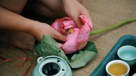 Thưởng sen bách diệp Tây Hồ, tản mạn phố Tô họa sĩ