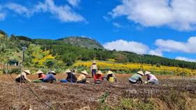 Tân Thành Holdings dừng dự án Khu đô thị Giáo dục Khoa học Núi Voi quy mô 700ha