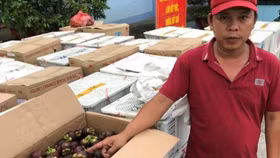 Buôn lậu trái cây từ Campuchia về Việt Nam, một đối tượng bị khởi tố hình sự