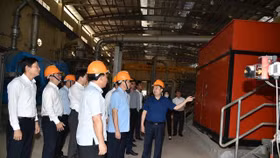 Báo cáo phương án xử lý dứt điểm đối với dự án nhà máy bột giấy Phương Nam trước 15/4
