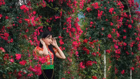 Giới trẻ háo hức chờ đón Lễ hội hoa hồng tại Sa Pa dịp 30/4