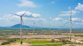 EVN đề xuất khung giá phát điện cho điện gió, điện mặt trời chuyển tiếp