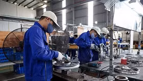 Việt Nam quyết tâm tạo ra các doanh nghiệp CNHT chất lượng