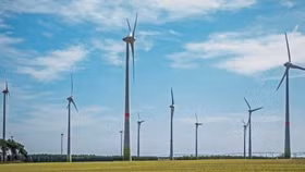 Xúc tiến khởi công Dự án cụm trang trại điện gió B&T hơn 8.900 tỷ đồng