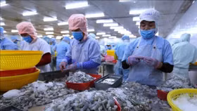 Các doanh nghiệp xuất khẩu sang Trung Quốc được tháo gỡ vướng mắc