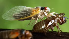 Rút khỏi JVC sau biến cố lỗ nghìn tỷ, gia đình ông Lê Văn Hướng lại có thương vụ trăm tỷ