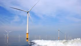 EVN muốn phát triển 4.000MW điện gió ngoài khơi, Bộ TN&MT muốn dừng khảo sát chờ... gỡ vướng