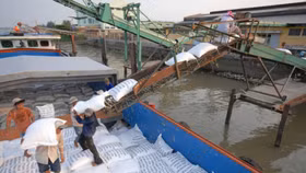 Khuất tất trong xuất khẩu 400 nghìn tấn gạo lúc nửa đêm: Phó Thủ tướng chỉ đạo làm rõ vụ việc