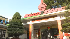 Bóng đèn Phích nước Rạng Đông làm ăn ra sao trong quý 2/2023?