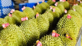 Giá sầu riêng giảm sâu so với mức đỉnh giữa tháng 2/2023