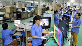 Điều tra, thống kê hơn 700.000 doanh nghệp Việt trong năm 2019