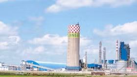 Đạm Ninh Bình, Ethanol Bình Phước rơi vào diện kiểm toán năm 2019