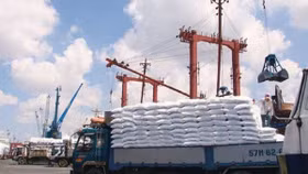 Nhập khẩu phân bón từ Trung Quốc giảm so với cùng kỳ