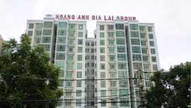 Hoàng Anh Gia Lai miễn nhiệm Kế toán trưởng