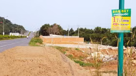 Yêu cầu xử lý vi phạm về đất đai tại Phú Quốc