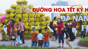 Du ngoạn Đà Nẵng Tết Kỷ Hợi, du khách không ngừng ngạc nhiên trước tuyệt tác từ hoa tươi