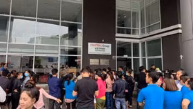 Phó thủ tướng yêu cầu kiểm tra việc Big C dừng nhập hàng Việt Nam