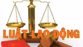 Những thay đổi lớn tại Bộ luật lao động được trình Quốc hội
