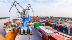 Việt Nam nhập siêu 800 triệu USD trong tháng đầu năm 2019