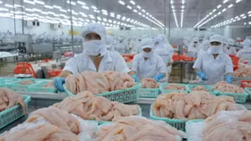 Thuế cao kỷ lục cá tra hết đường vào Mỹ?