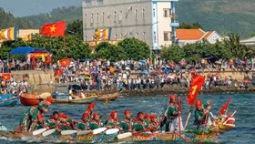 Doanh nghiệp muốn lấp 51 ha biển Lý Sơn để làm du lịch