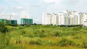 Chính phủ đề xuất sửa đổi Luật Đất đai vào năm 2020