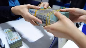 Có nên khống chế mức cho vay đầu tư ra nước ngoài?