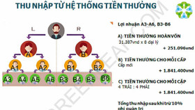 Bộ Công Thương cảnh báo người dân không tham gia mạng lưới đa cấp Greenleaf