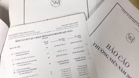 Vimedimex mập mờ công bố thông tin tài chính