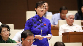 Xây dựng luật: "Đề nghị Chính phủ quan tâm đến tính chủ động”