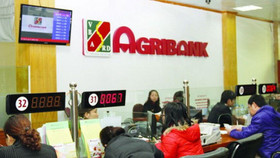 Phục hồi điều tra vụ sai phạm hơn 300 tỷ đồng Agribank Cần Thơ