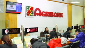 Phục hồi điều tra vụ sai phạm hơn 300 tỷ đồng Agribank Cần Thơ