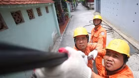 Phó Thủ tướng yêu cầu tiếp tục theo dõi tác động tăng giá điện