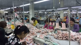 Hà Nội tổ chức nhiều hoạt động thiết thực chăm lo người lao động trong dịp Tết