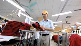 Giấy phép con tiếp tục được cài cắm