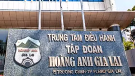 Hoàng Anh Gia Lai bị phạt, truy thu thuế 11 tỷ đồng