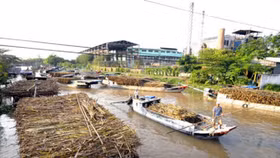 Hiệp hội Mía đường Việt Nam: Đường tồn kho tăng trở lại