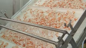 Chậm nộp thuế, ICF bị cưỡng chế hơn 1,78 tỷ đồng