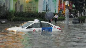 TPHCM: Mưa lớn ngập 40 tuyến đường, cây ngã đè người đi đường tử vong