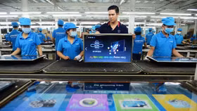 Chuyển hồ sơ vụ việc Asanzo trốn thuế cho cơ quan điều tra