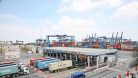 Bộ Tài chính yêu cầu xử lý nghiêm khắc vụ 213 container mất tích