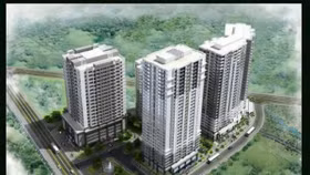 Sai phạm chồng sai phạm tại Sakura Tower 47 Vũ Trọng Phụng