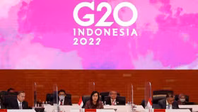 Bộ trưởng Senegal tại G-20: “Cuộc khủng hoảng lương thực có thể tồi tệ hơn cả Covid-19”