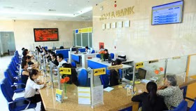 Vì sao ngân hàng Nam Á vẫn chưa niêm yết cổ phiếu?