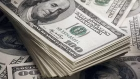 Tỷ giá USD hôm nay ngày 6/12: Không biến động ở hai thị trường
