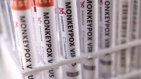 WHO: Bệnh đậu mùa khỉ có nguy cơ “tương đối” với sức khỏe cộng đồng toàn cầu