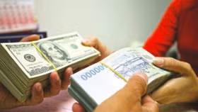 NHNN TP.HCM yêu cầu tăng cường kiểm tra các điểm thu đổi ngoại tệ