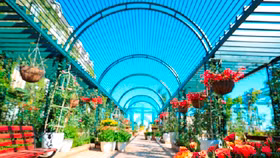 Chơi đã đời, ăn thỏa thích chỉ với một tấm vé, Bà Nà Hills ngay chứ còn gì?